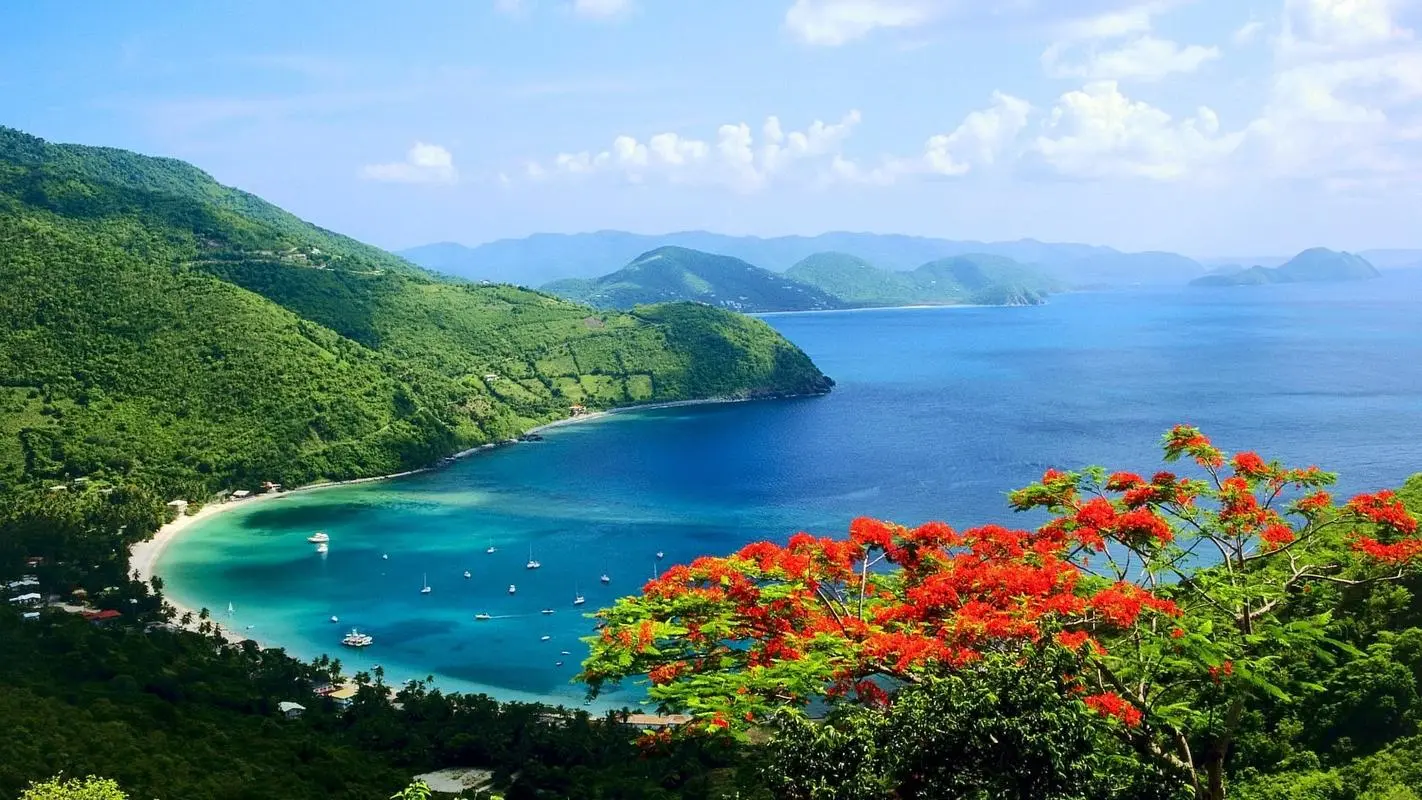 高效智能系统